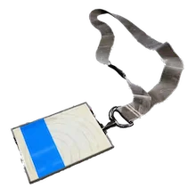 Blue Gate Cellar Key